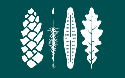 8th Croatian Botanical Symposium