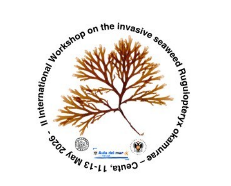 II International Workshop